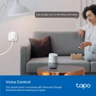 TPLLTAPOP110 - TP-Link Tapo P110 Smart Plug Type F Wi-Fi with Energy Monitoring
