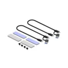 Delock Externes USB Type-C Dual Combo Gehäuse für 2 x M.2 NVMe PCIe oder SATA SS