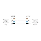 80531 - M12 Kabel L-kodiert 4 Pin Stecker rechts gewinkelt zu Buchse gerade PUR s