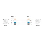 80529 - M12 Kabel L-kodiert 4 Pin Stecker rechts gewinkelt zu Buchse gerade PUR s