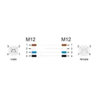 80530 - M12 Kabel L-kodiert 4 Pin Stecker rechts gewinkelt zu Buchse gerade PUR s