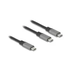 81271 - Delock USB-C Y-Kabel 1 x Stecker zu 2 x Stecker PD 3.0 100 W, 1,2m